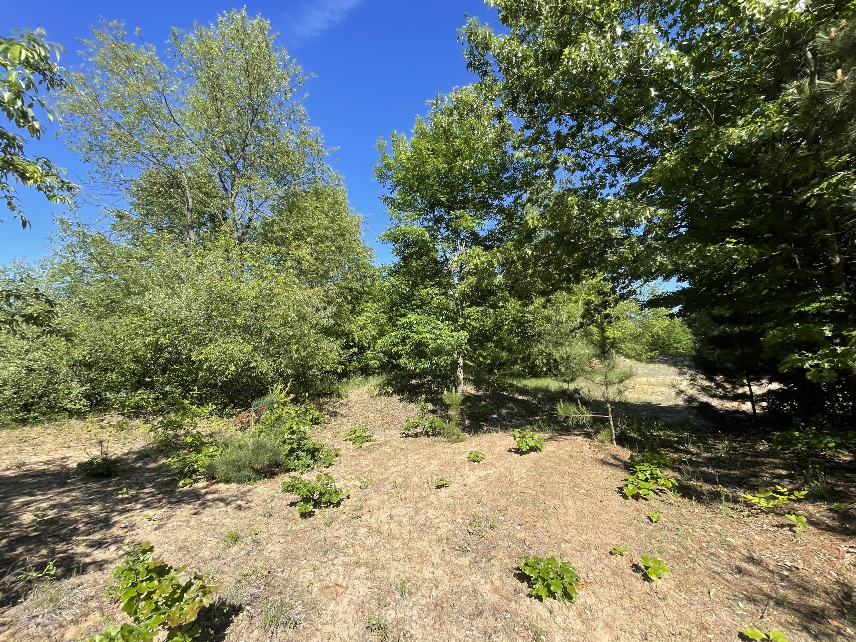 476 Monroe Road Hart, MI 49420 - Photo 27 of 74 8
