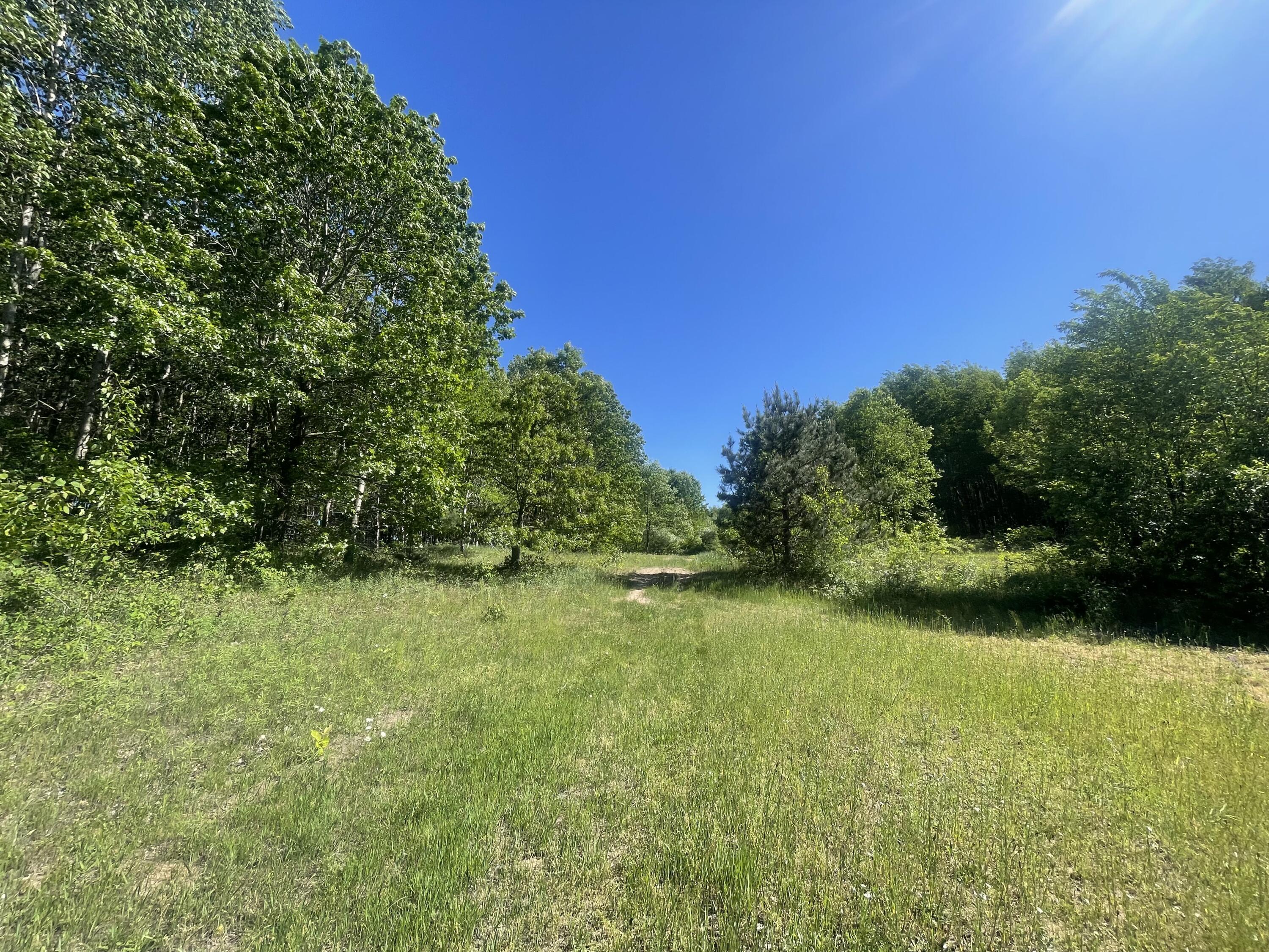 476 Monroe Road Hart, MI 49420 - Photo 31 of 74 12