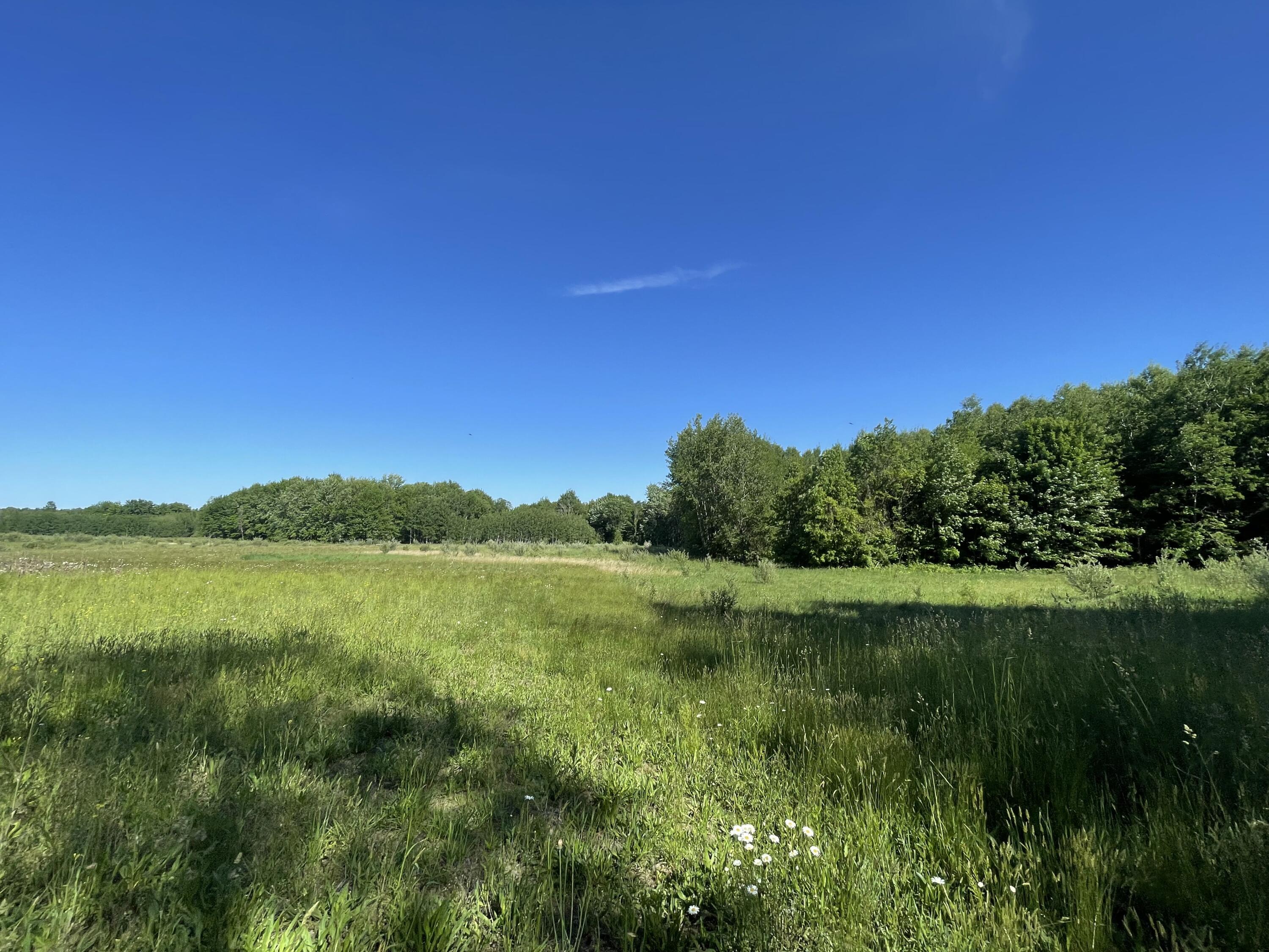 476 Monroe Road Hart, MI 49420 - Photo 37 of 74 18