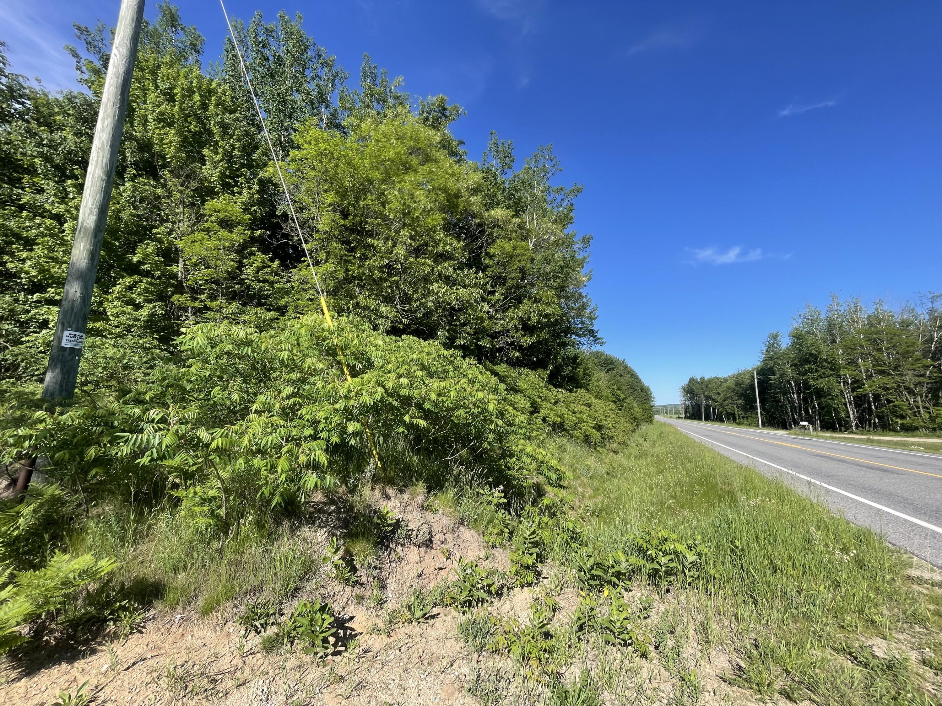 476 Monroe Road Hart, MI 49420 - Photo 38 of 74 19