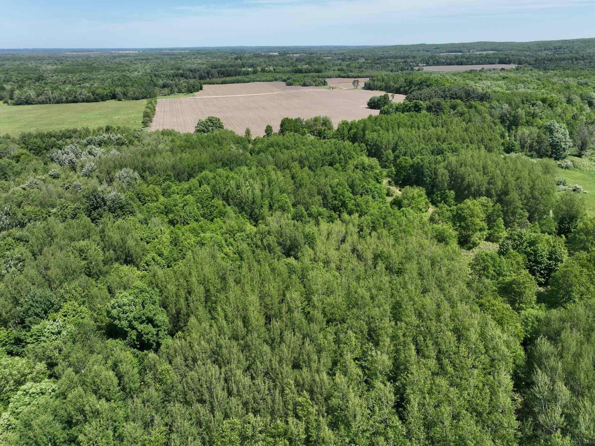 476 Monroe Road Hart, MI 49420 - Photo 60 of 74 54