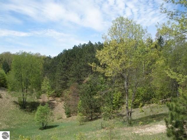 20805 Stanton Road Thompsonville, MI 49683 - Photo 21 of 23 1785346-20.JPG