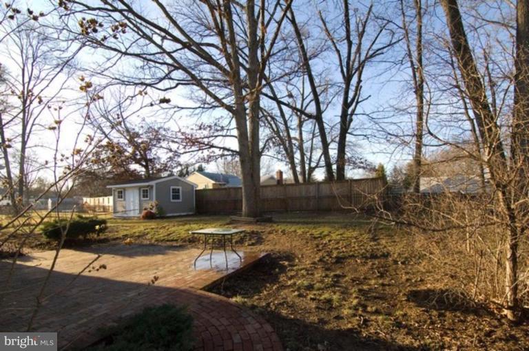 6804 Front Royal Road Springfield, VA 22151 - Photo 5 of 27 a view of a yard with a tree