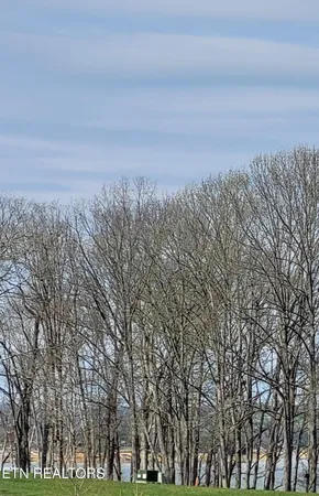 $197,700 | Lot 56 Sunset Boulevard, White Pine, TN 37890