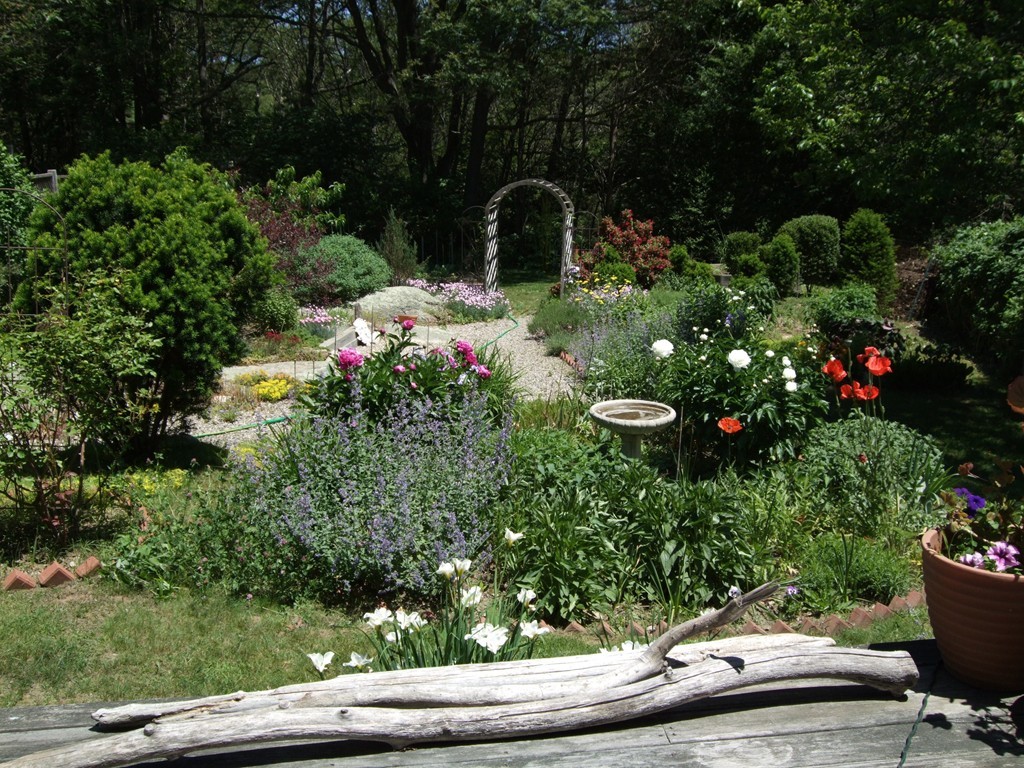 13 Youngs Road Gloucester, MA 01930 - Photo 15 of 30 Gallery Image 15