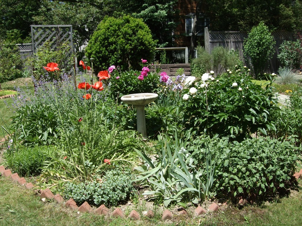13 Youngs Road Gloucester, MA 01930 - Photo 16 of 30 Gallery Image 16