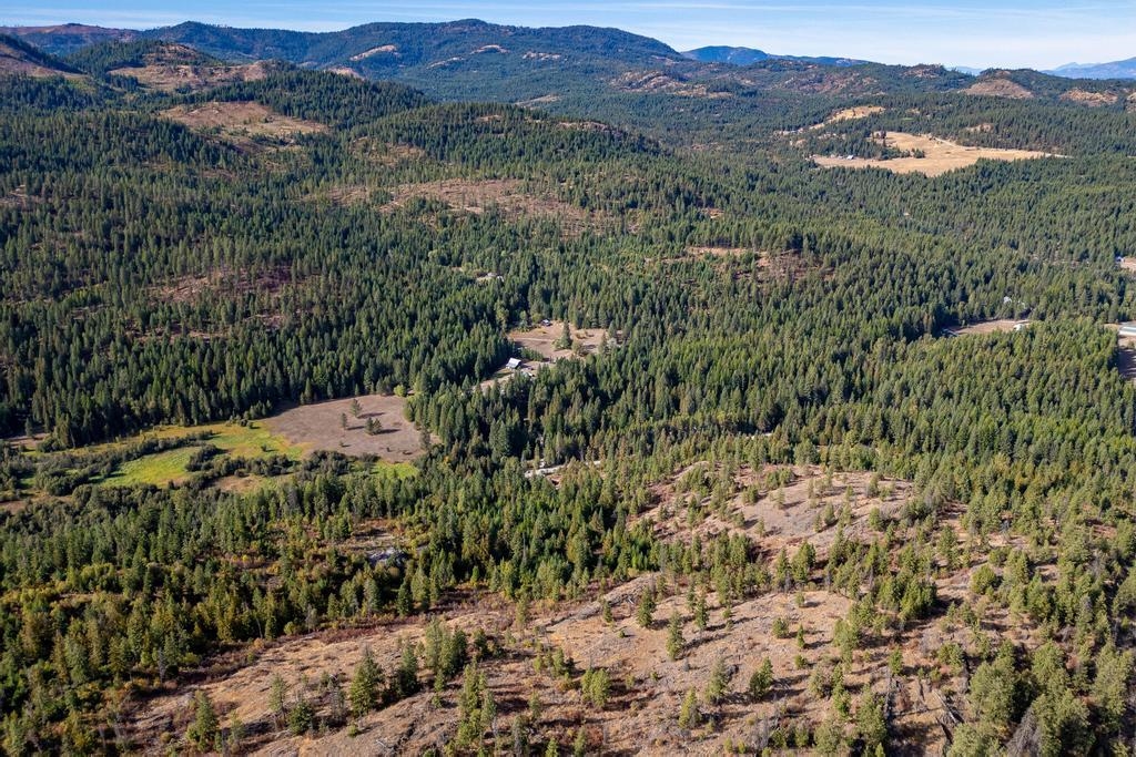 3401 Red Marble Road Valley, WA 99181 - Photo 11 of 49