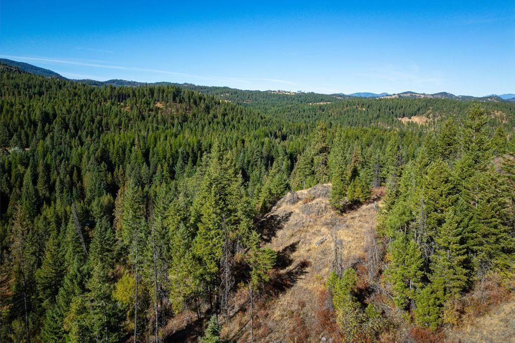 3401 Red Marble Road Valley, WA 99181 - Photo 14 of 49