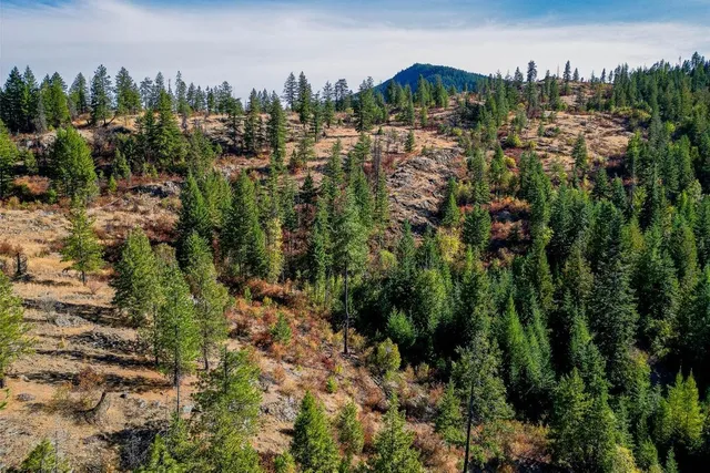 $110,000 | 3401 Red Marble Road, Valley, WA 99181