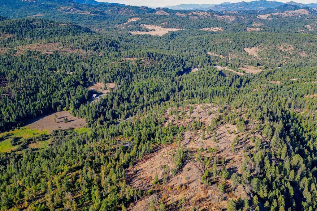 3401 Red Marble Road Valley, WA 99181 - Photo 32 of 49