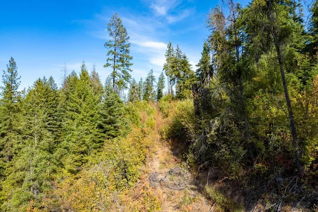 $110,000 | 3401 Red Marble Road, Valley, WA 99181