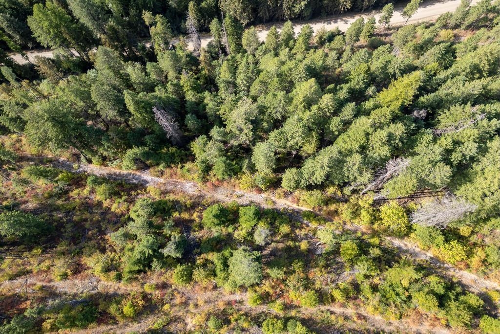 3401 Red Marble Road Valley, WA 99181 - Photo 36 of 49