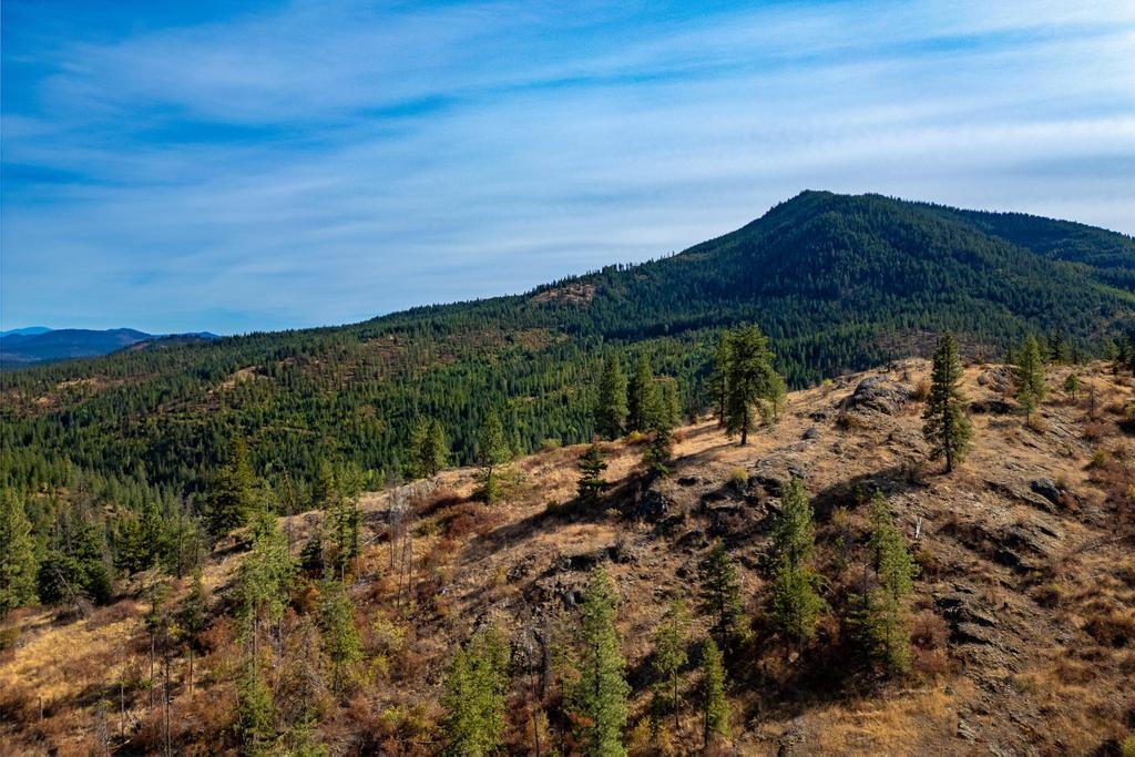 3401 Red Marble Road Valley, WA 99181 - Photo 37 of 49