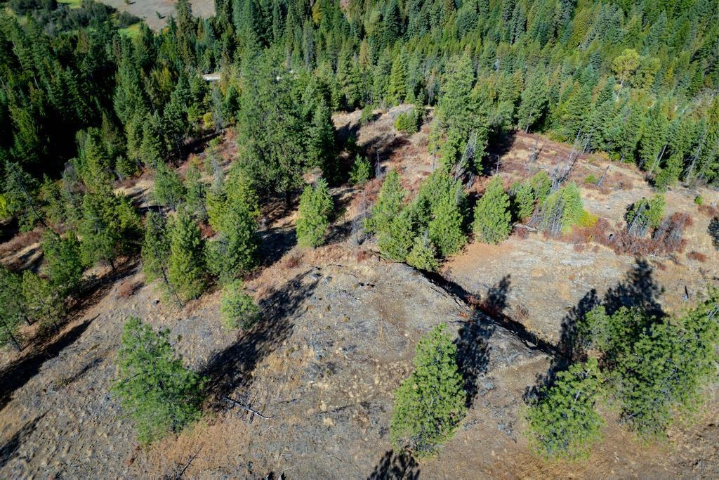 3401 Red Marble Road Valley, WA 99181 - Photo 5 of 49