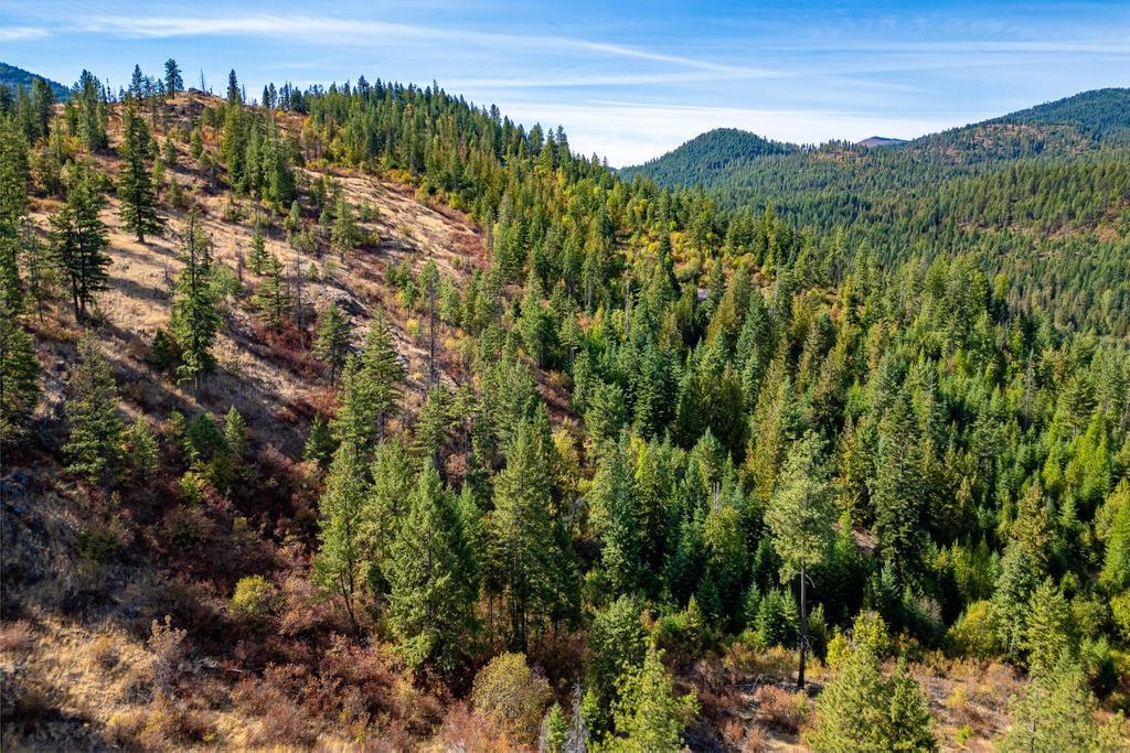 3401 Red Marble Road Valley, WA 99181 - Photo 7 of 49