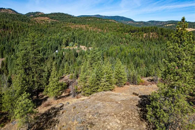 $110,000 | 3401 Red Marble Road, Valley, WA 99181