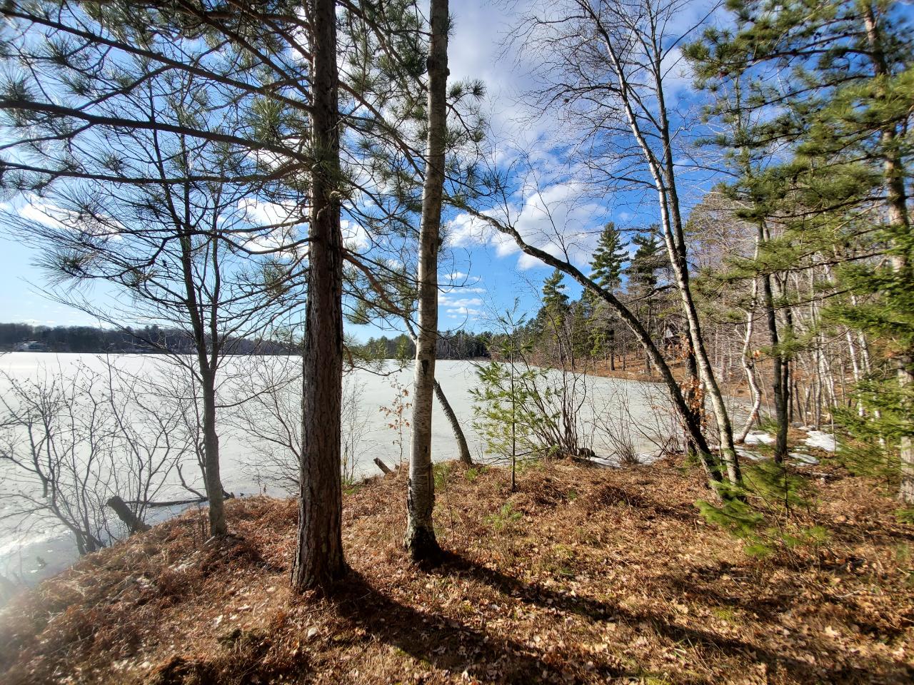 Lot 13 Little Bearskin Road Harshaw, WI 54529 - Photo 1 of 20 Gallery Image 1