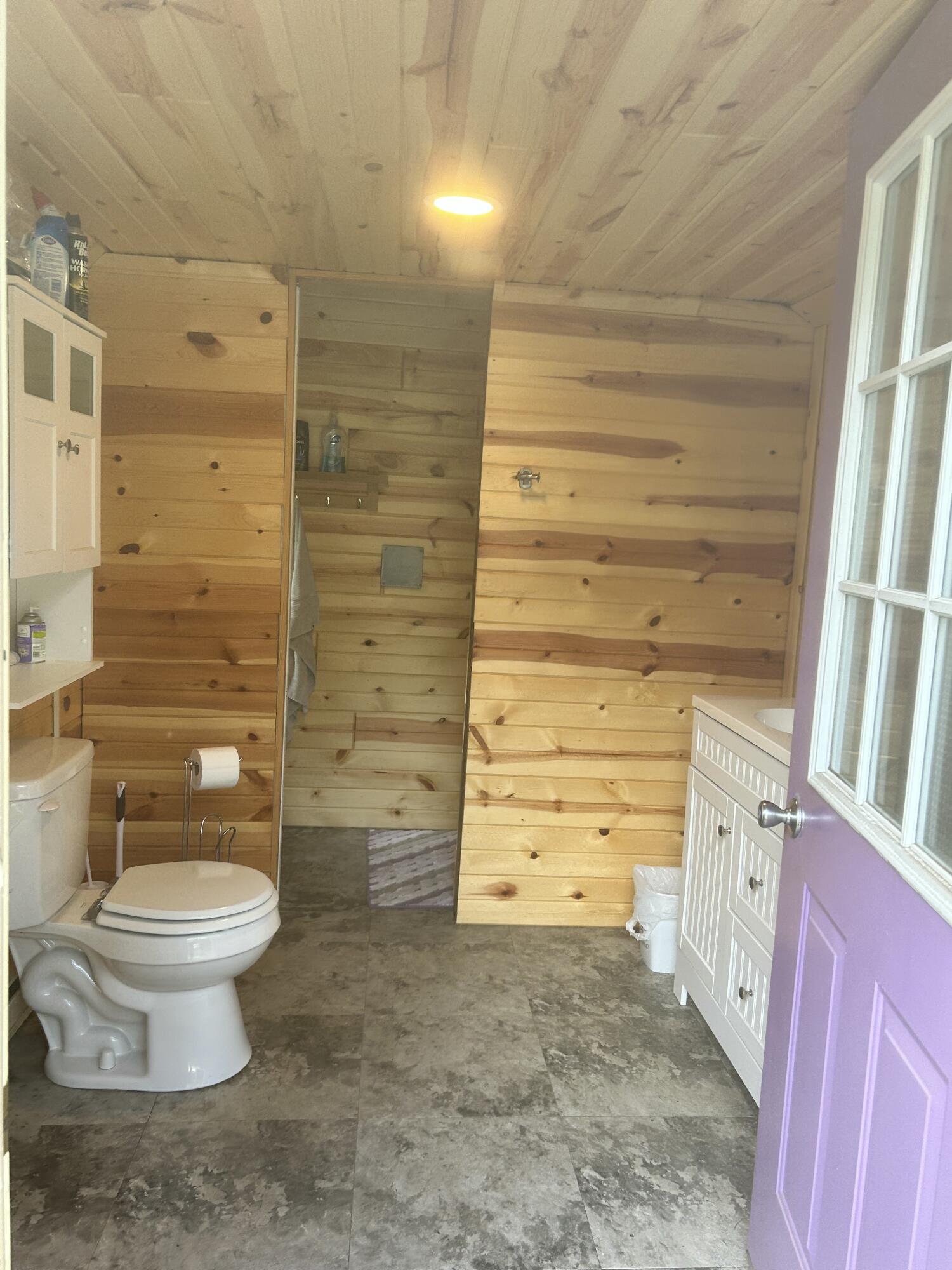 11698 Astor Road Irons, MI 49644 - Photo 34 of 57 26