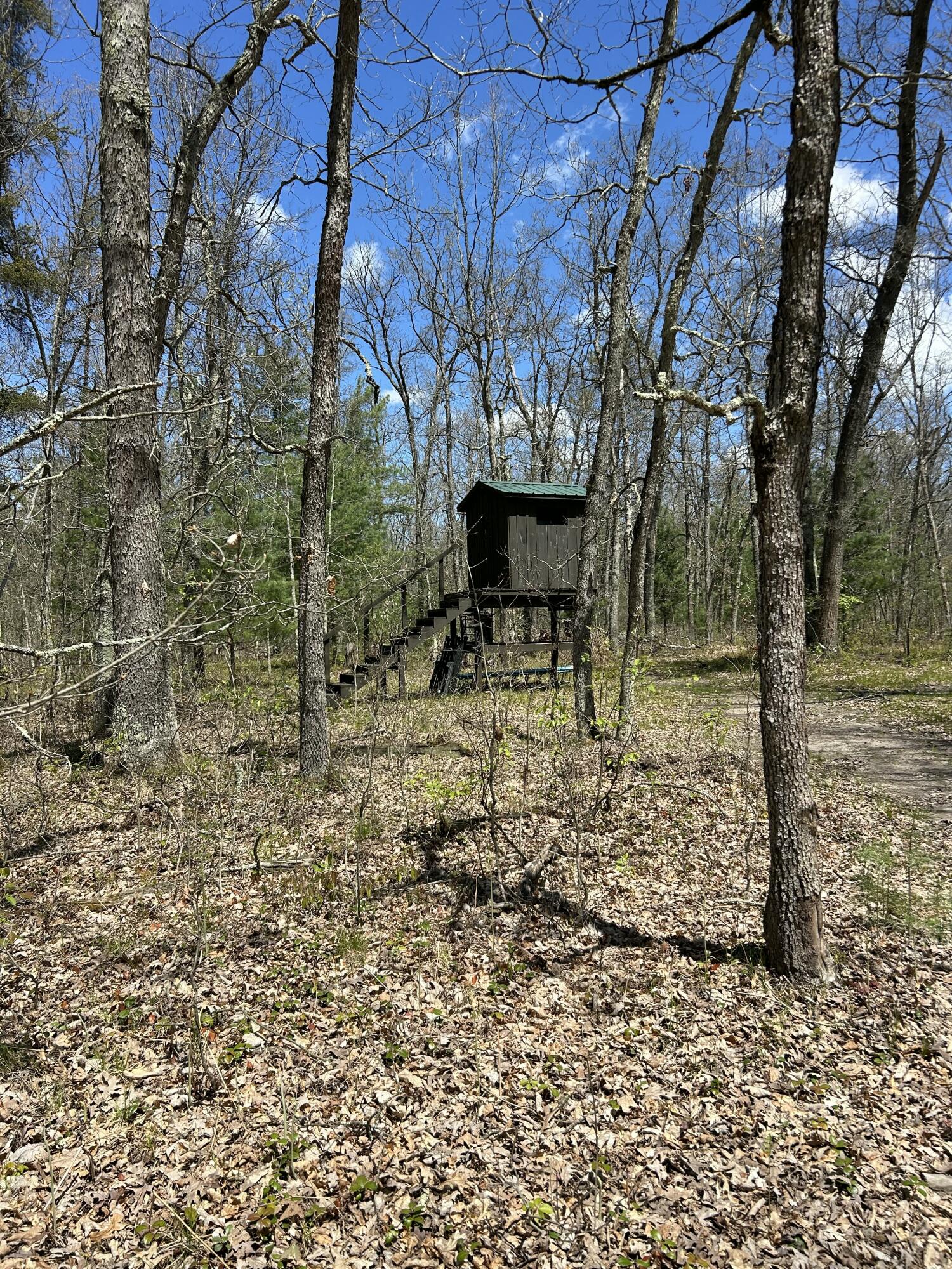11698 Astor Road Irons, MI 49644 - Photo 48 of 57 52