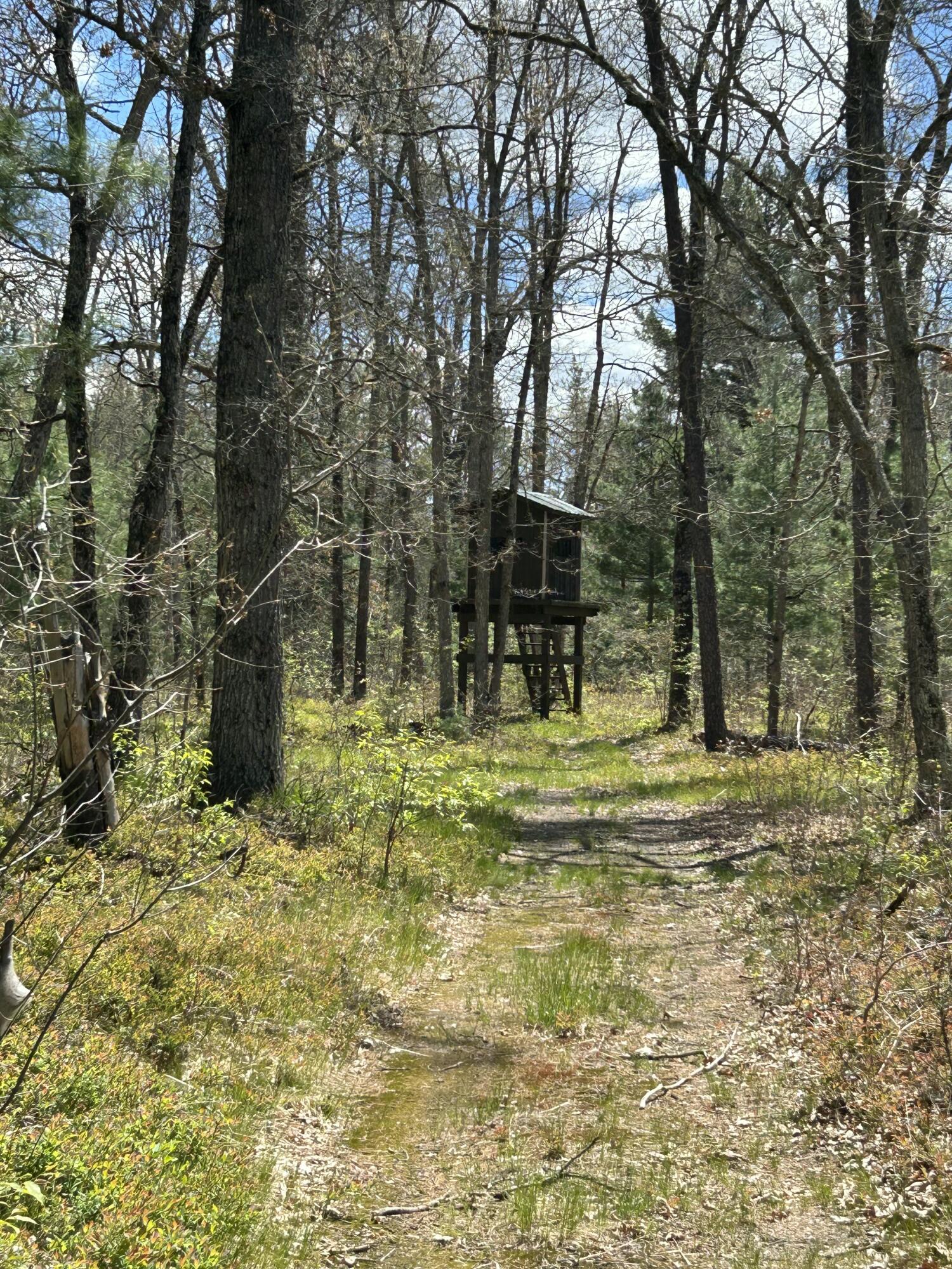 11698 Astor Road Irons, MI 49644 - Photo 49 of 57 54