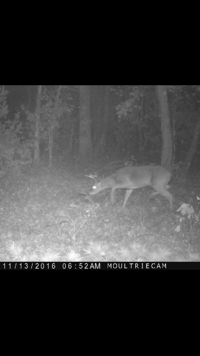 11698 Astor Road Irons, MI 49644 - Photo 56 of 57 IMG_0165