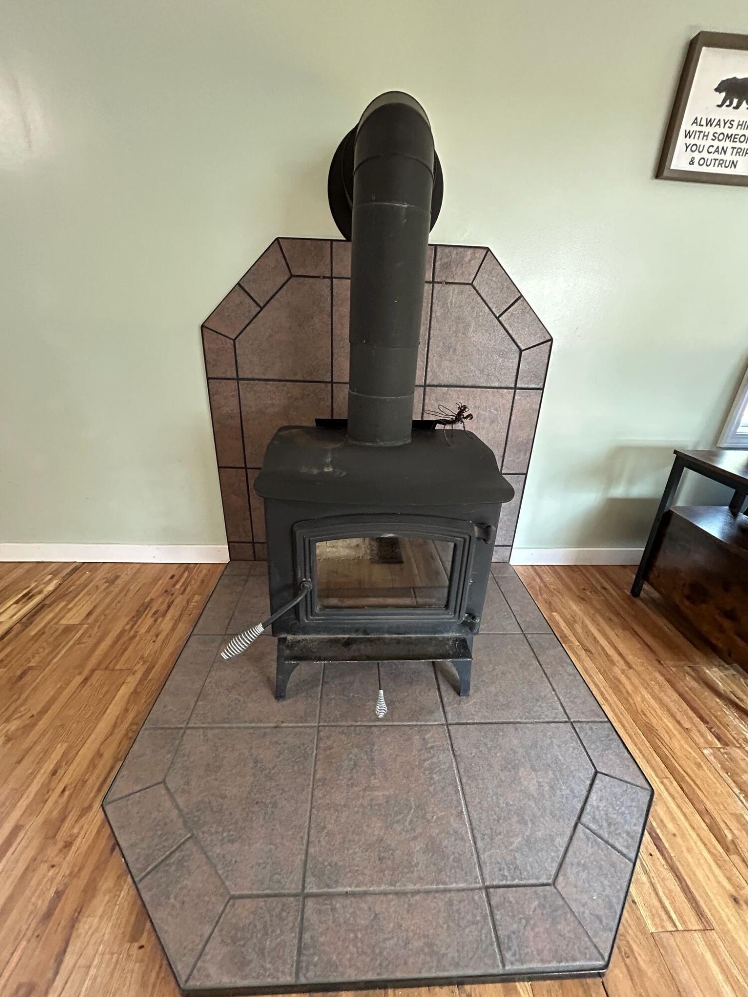 11698 Astor Road Irons, MI 49644 - Photo 9 of 57 16