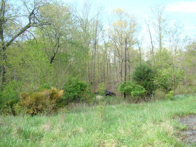 700 Oil Springs Road Winchester, KY 40391 - Photo 1 of 10 Photo 1