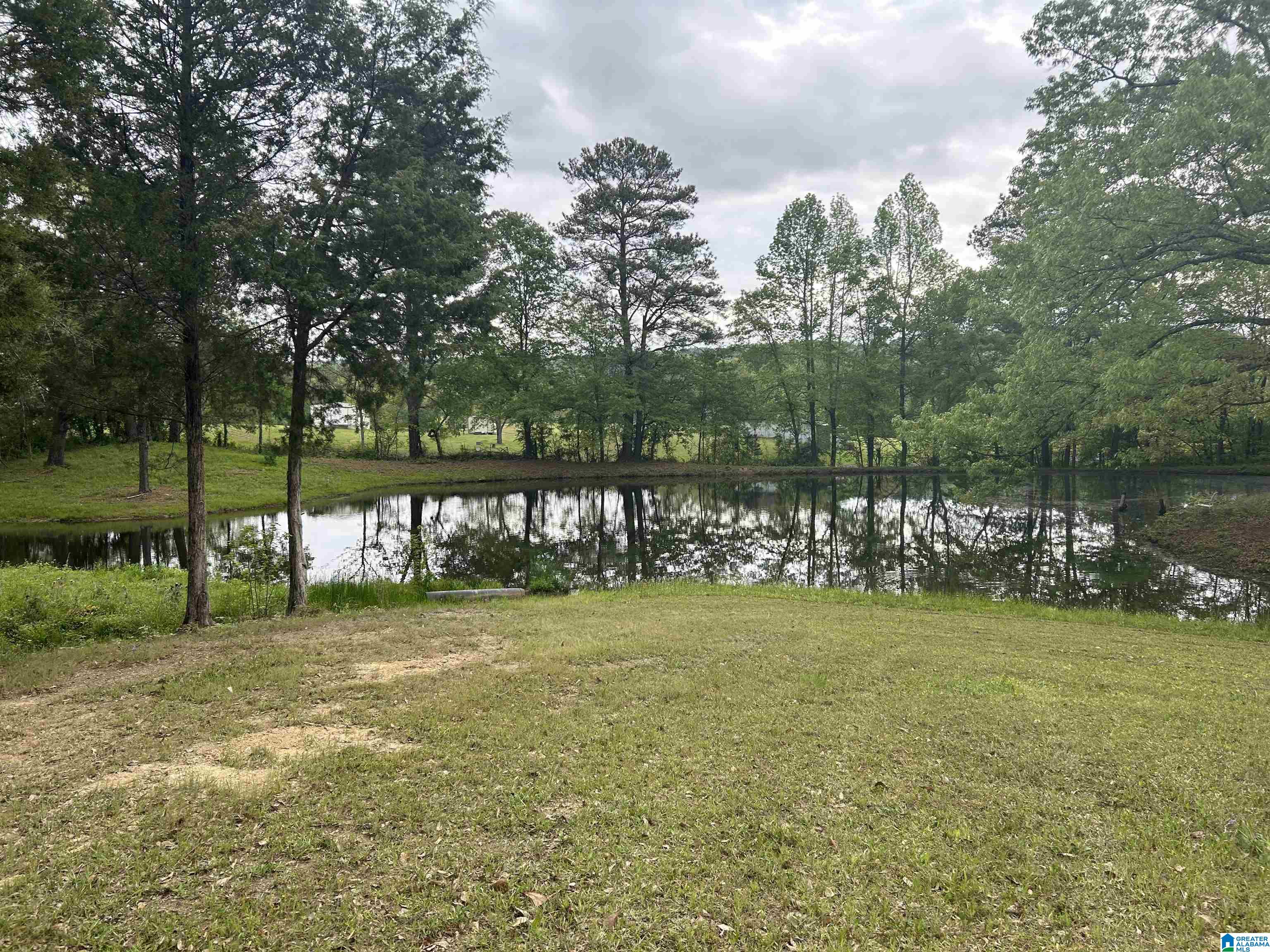 625 Dee Hendrix Road, Unit 6 9 ACRES Bessemer, AL 35023 - Photo 6 of 14