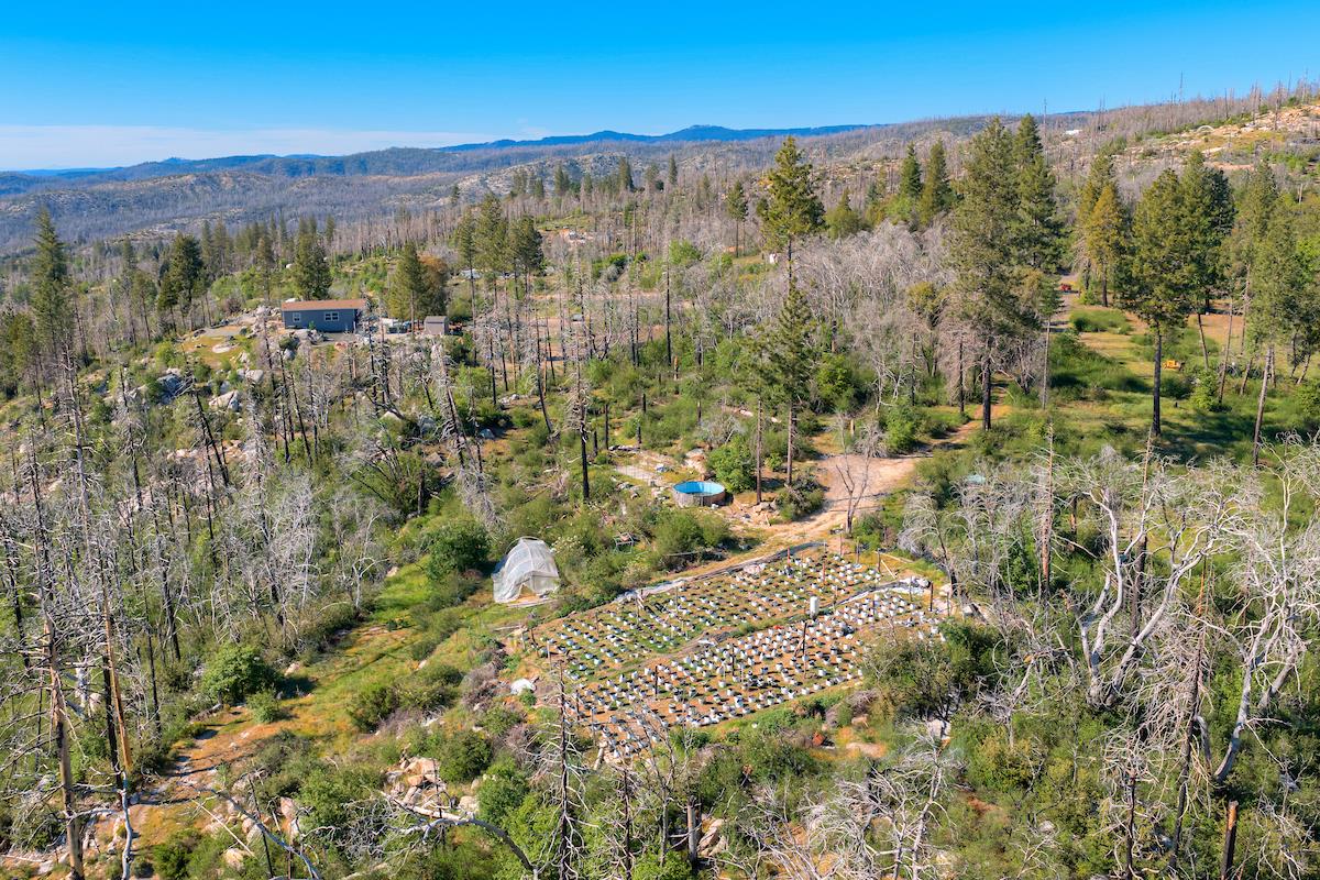 0 Four M Road Berry Creek, CA 95916 - Photo 11 of 20