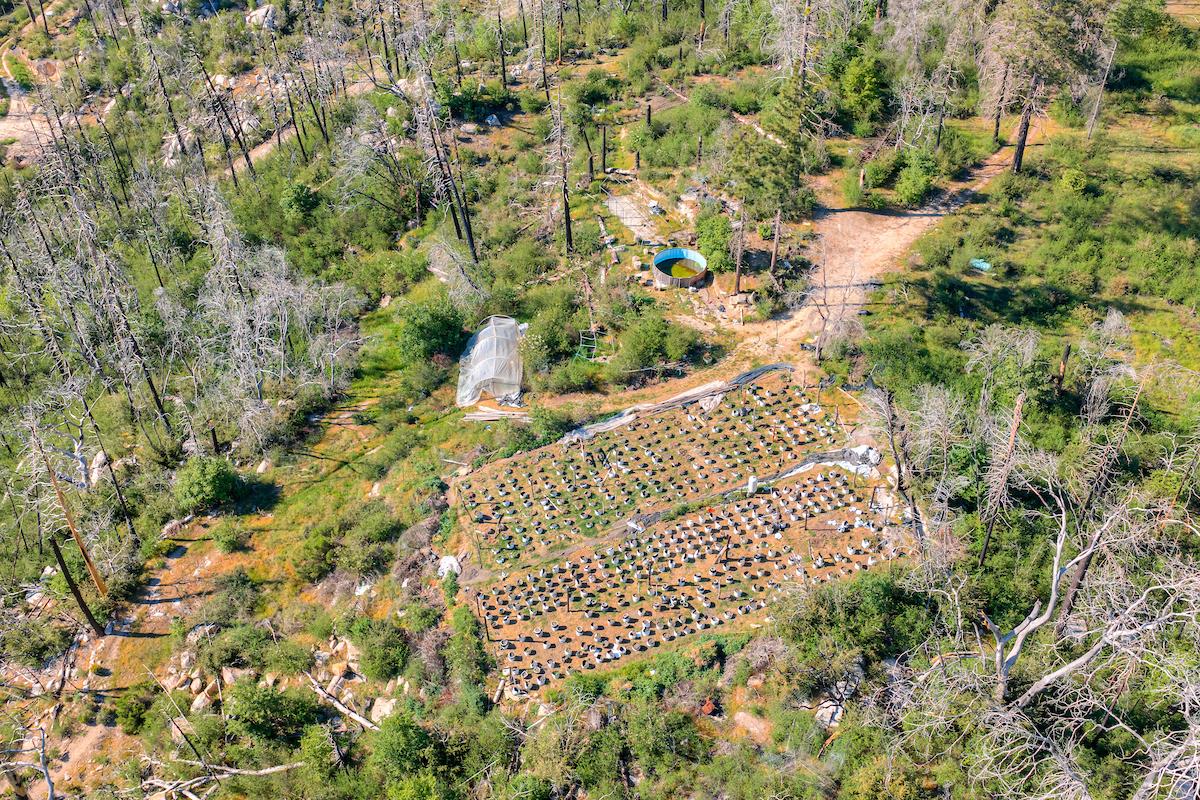 0 Four M Road Berry Creek, CA 95916 - Photo 12 of 20