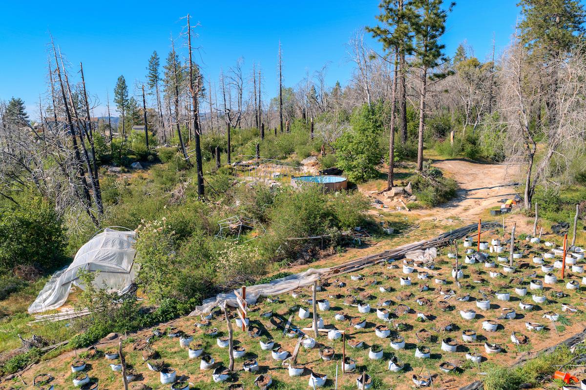 0 Four M Road Berry Creek, CA 95916 - Photo 13 of 20