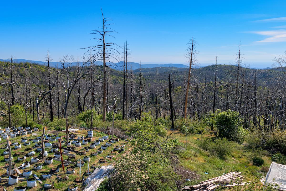 0 Four M Road Berry Creek, CA 95916 - Photo 15 of 20