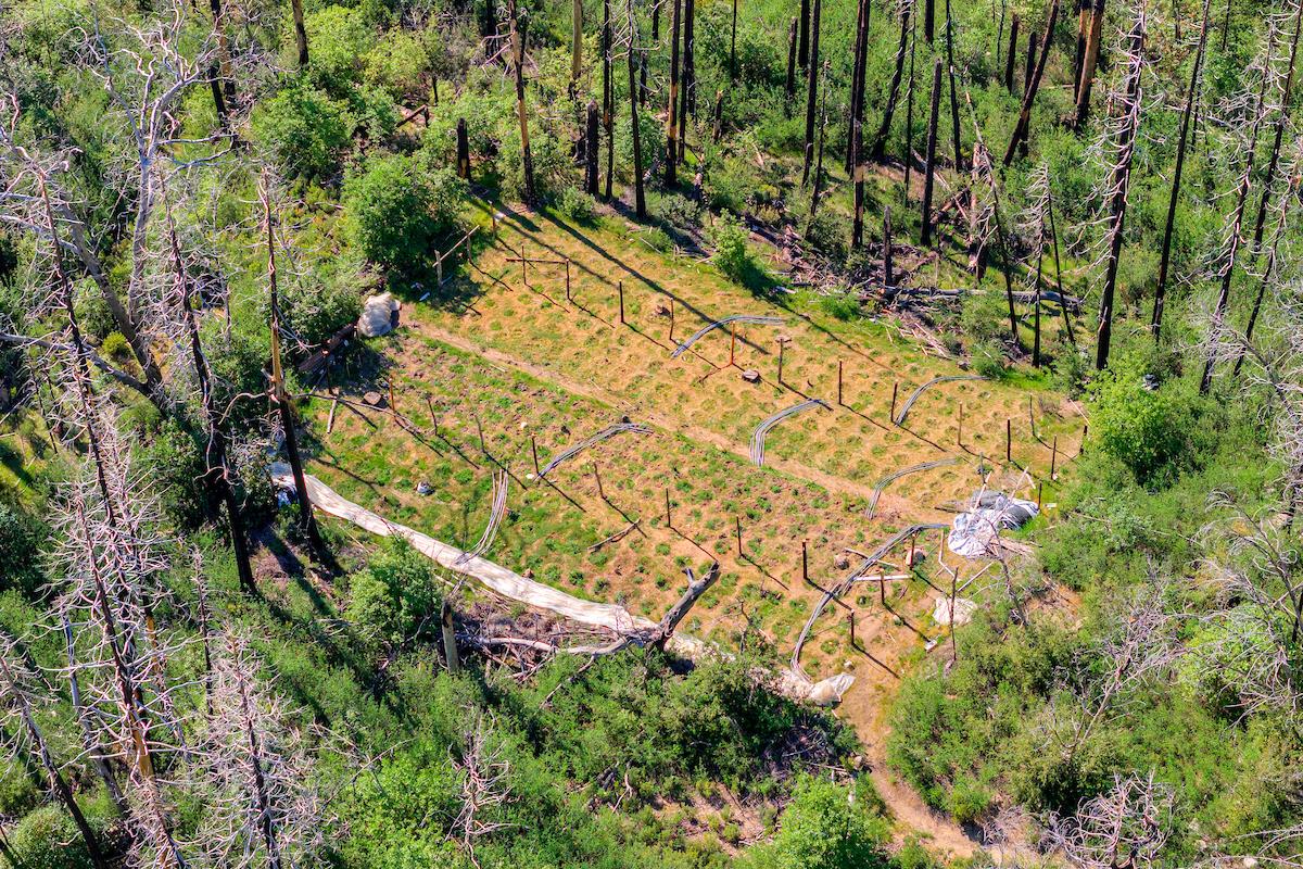 0 Four M Road Berry Creek, CA 95916 - Photo 16 of 20