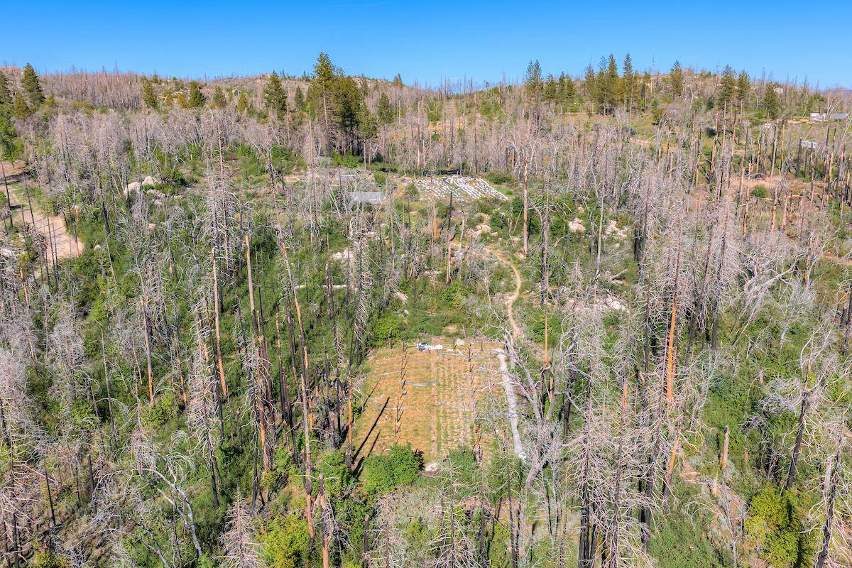 0 Four M Road Berry Creek, CA 95916 - Photo 17 of 20