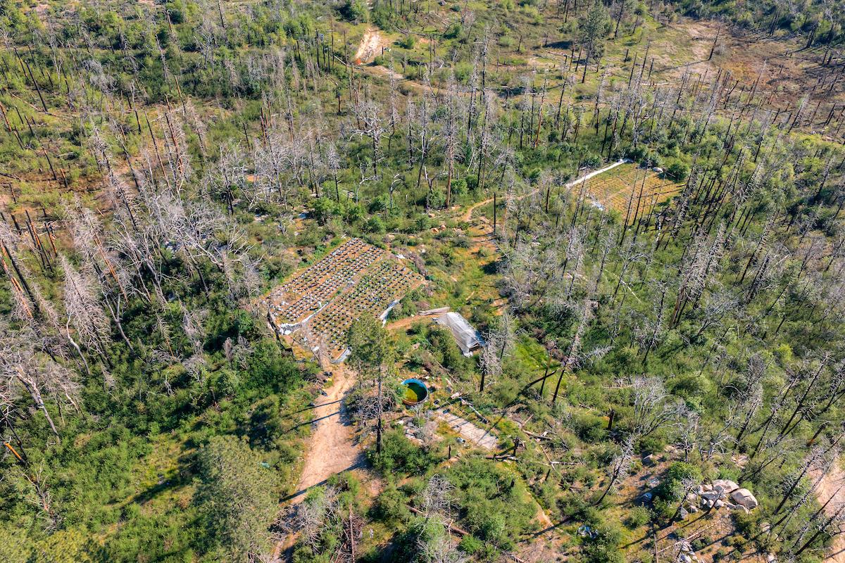 0 Four M Road Berry Creek, CA 95916 - Photo 18 of 20