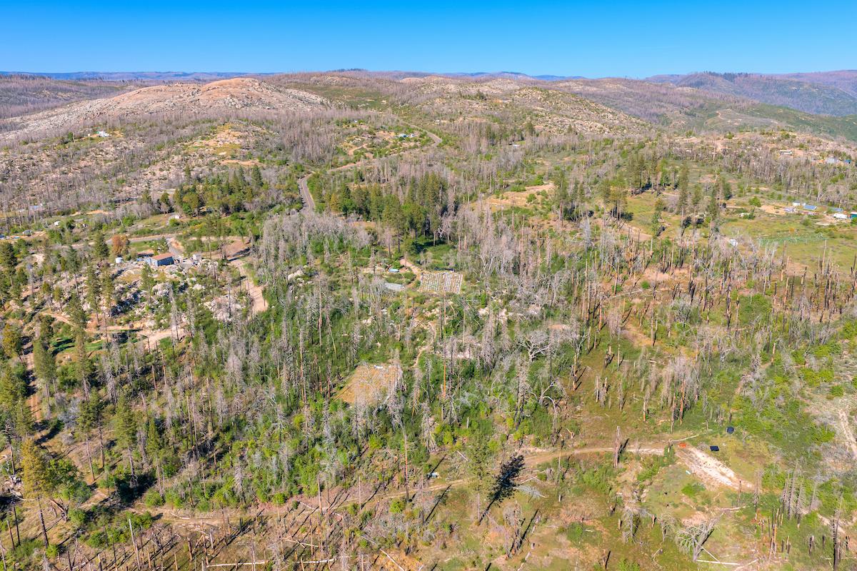 0 Four M Road Berry Creek, CA 95916 - Photo 4 of 20