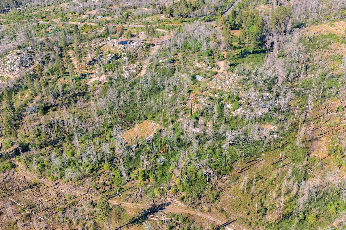 0 Four M Road Berry Creek, CA 95916 - Photo 6 of 20