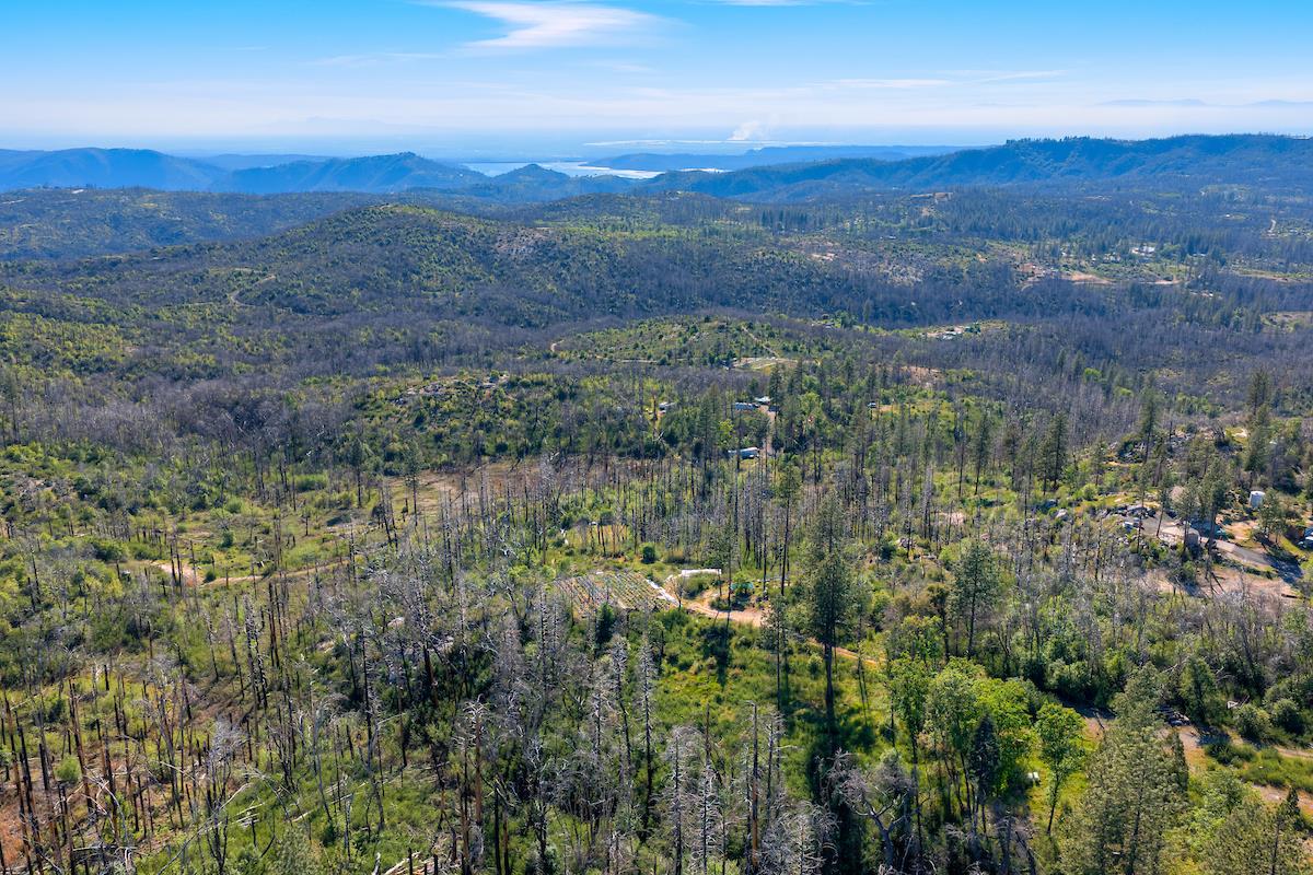 0 Four M Road Berry Creek, CA 95916 - Photo 8 of 20