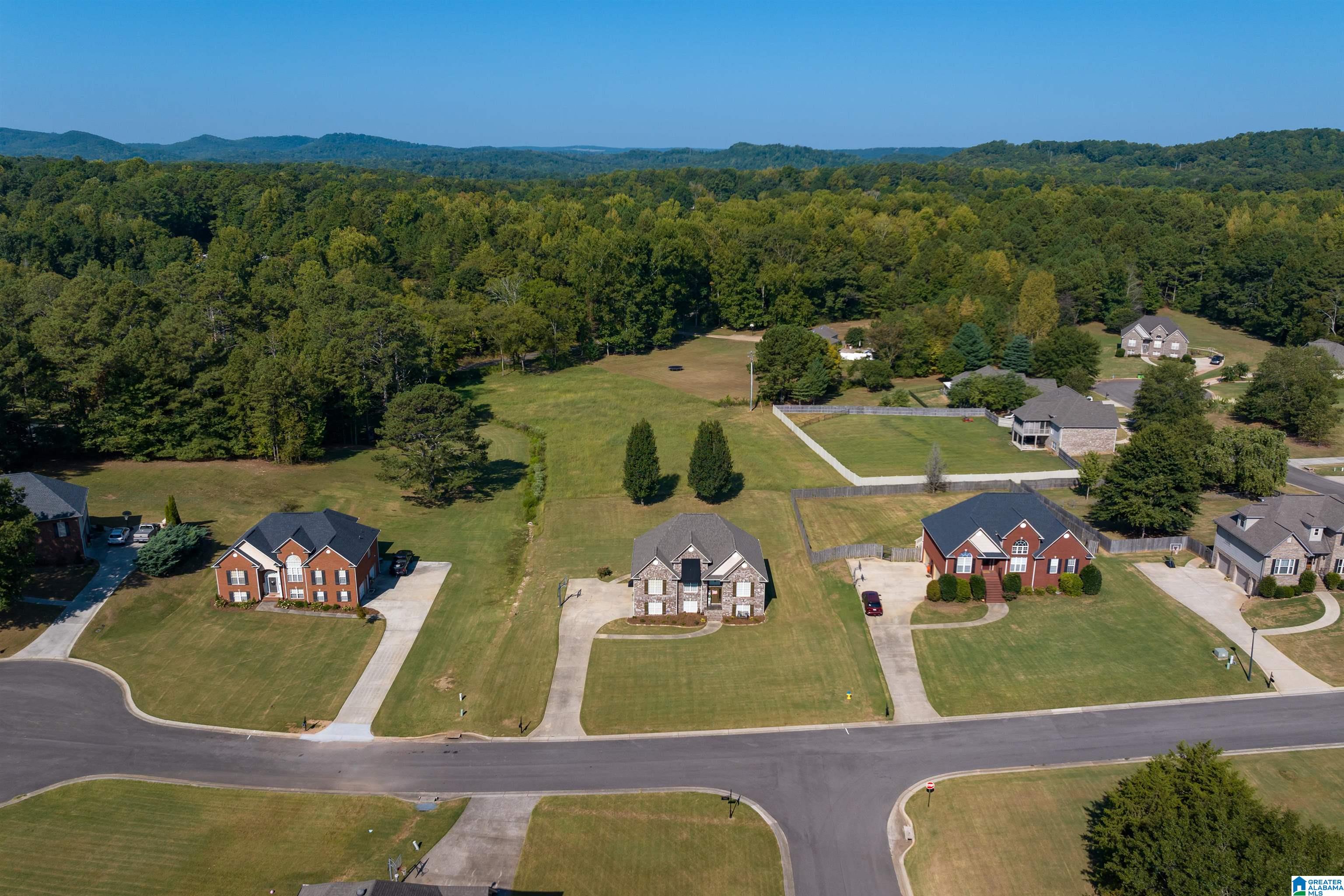 45 Farm Court Springville, AL 35146 - Photo 4 of 39