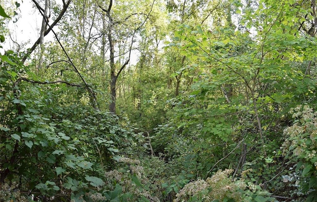 8523 Promontory Road Indianapolis, IN 46236 - Photo 24 of 24 Gallery Image 24