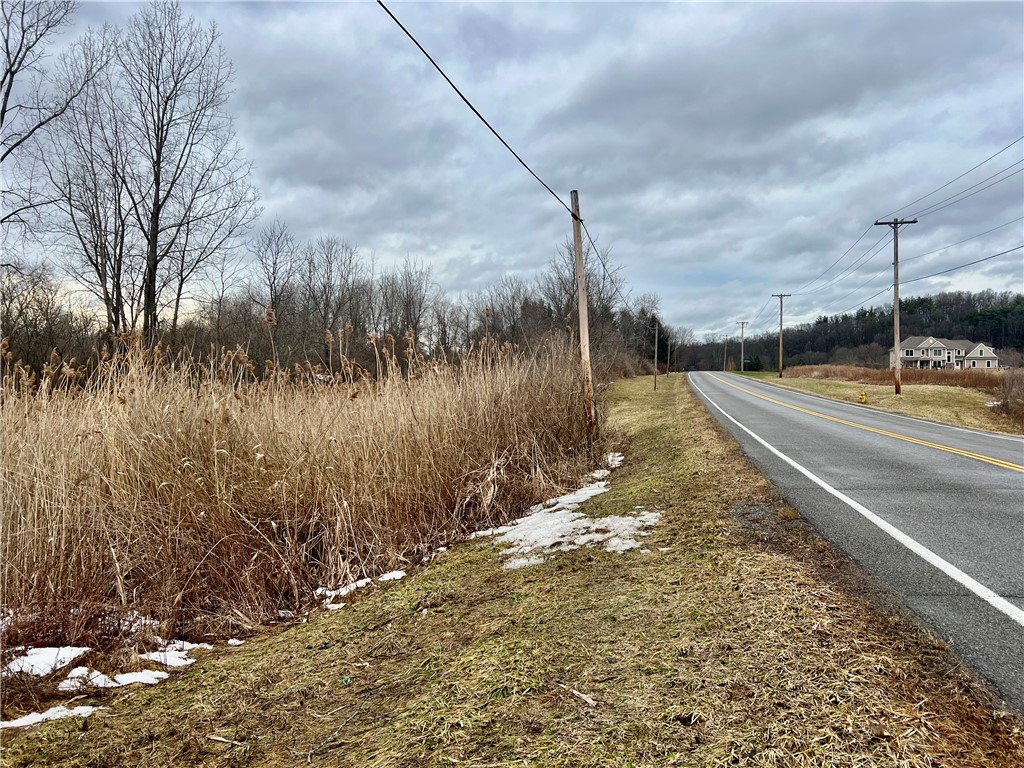 0 Benson Road Victor, NY 14564 - Photo 1 of 1 Gallery Image 1