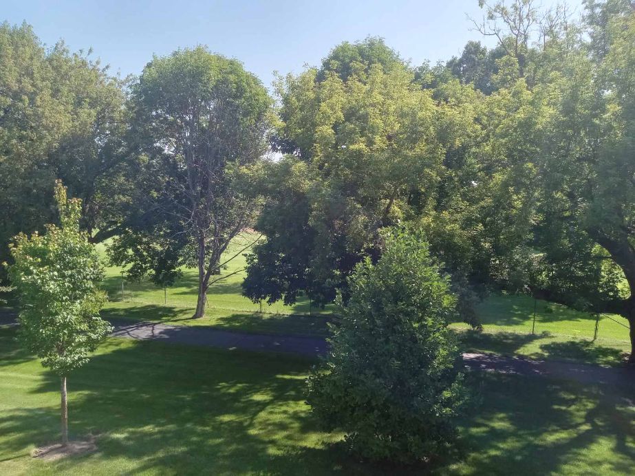 1027 Auburn Lane, Unit 1027 Buffalo Grove, IL 60089 - Photo 18 of 19 Gallery Image 18