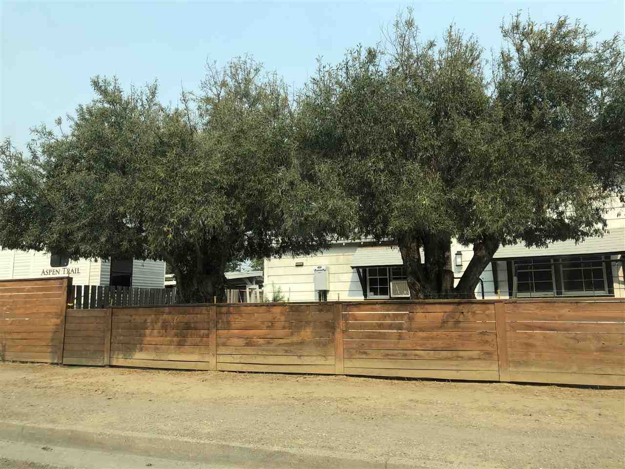1428 Marin Street Corning, CA 96021 - Photo 13 of 13