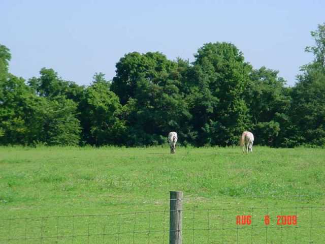 21844 Ringgold Southern Road Circleville, OH 43113 - Photo 3 of 15