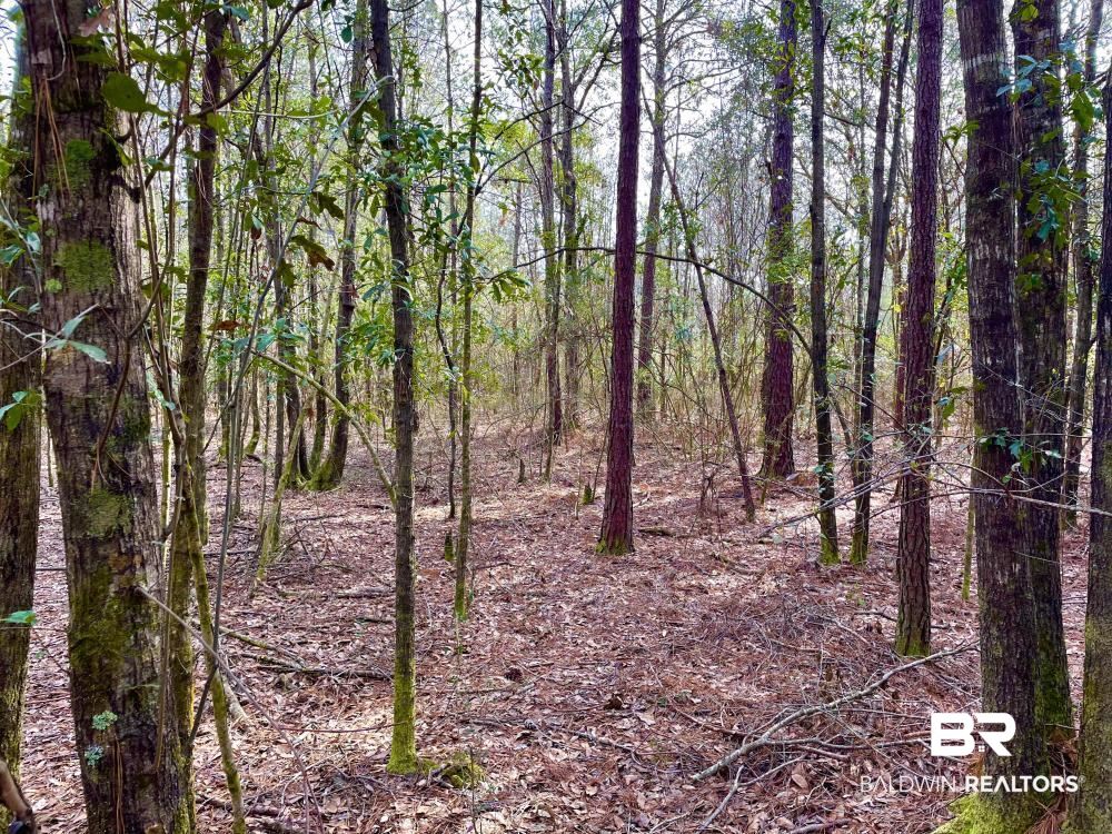 0 Baxter Road Wilmer, AL 36587 - Photo 4 of 6