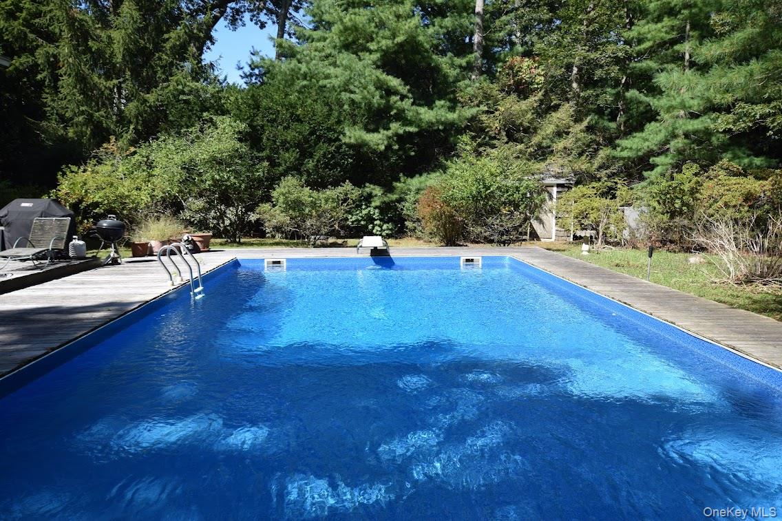 149 Munsell Road East Patchogue, NY 11772 - Photo 23 of 29 a view of a swimming pool and trees in the background