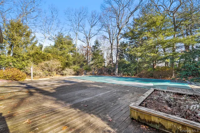 a view of a swimming pool and trees in the background