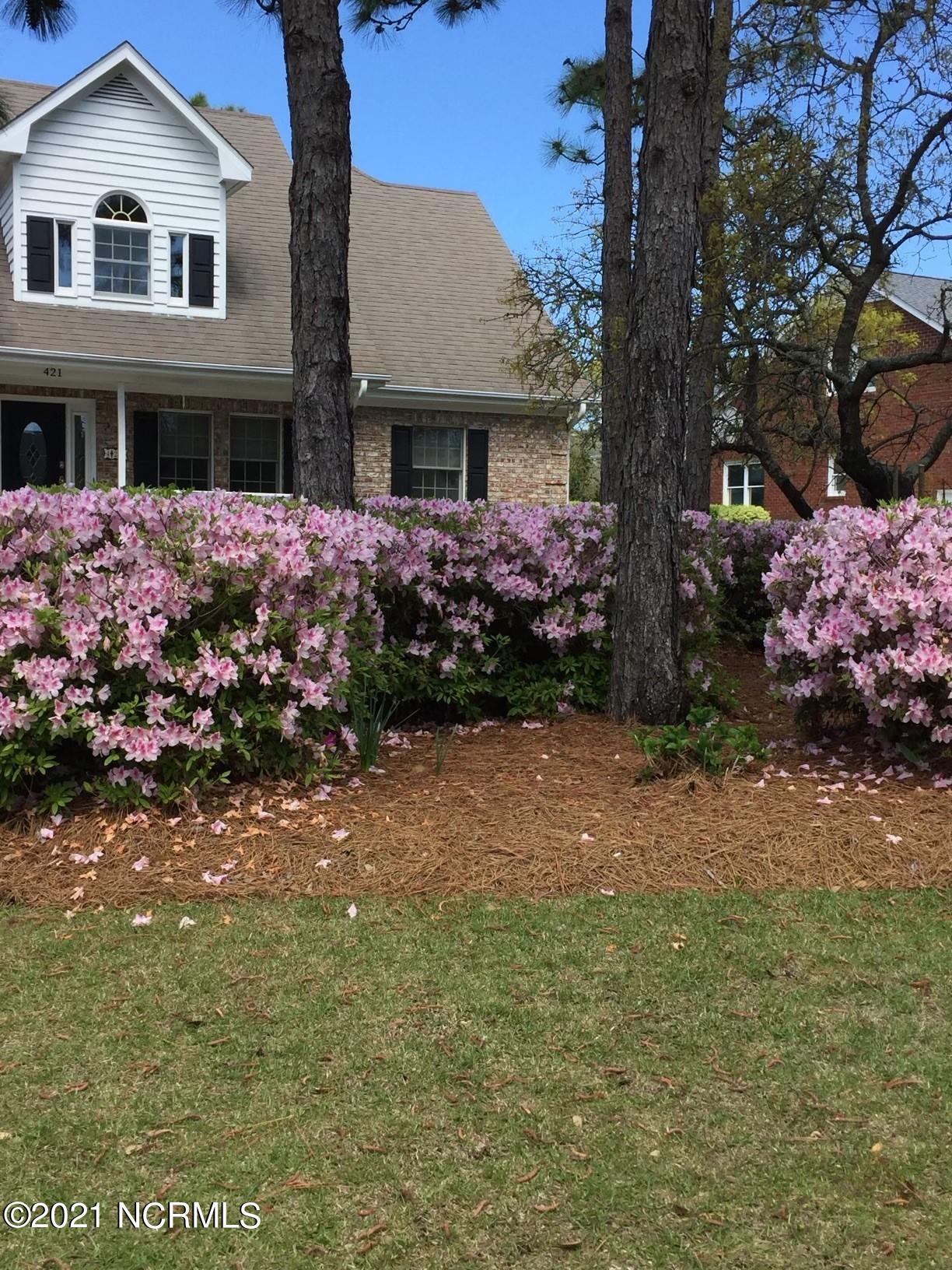 421 Rivage Promenade Wilmington, NC 28412 - Photo 53 of 54 Nathans photo 2
