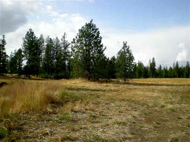 0 West Anderson Road Cheney, WA 99004 - Photo 1 of 1