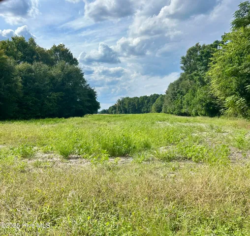 $60,000 | Tr #2 McQueen Road, Laurinburg, NC 28352